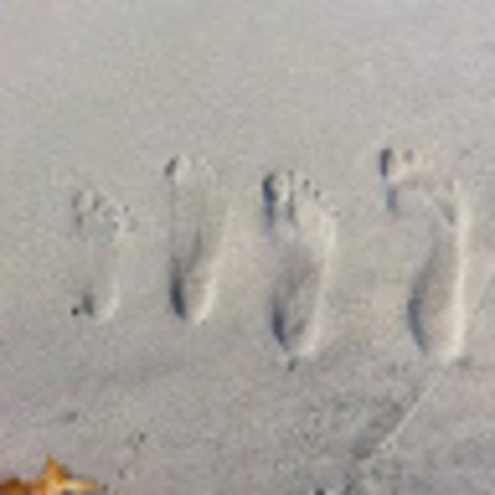 Meet your Posher, Sylvia